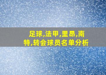 足球,法甲,里昂,南特,转会球员名单分析