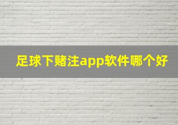 足球下赌注app软件哪个好