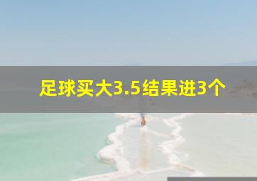 足球买大3.5结果进3个