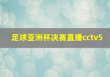 足球亚洲杯决赛直播cctv5