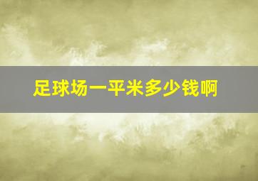 足球场一平米多少钱啊