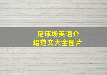 足球场英语介绍范文大全图片