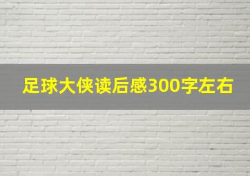 足球大侠读后感300字左右