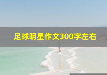 足球明星作文300字左右