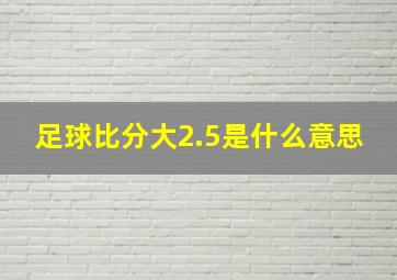 足球比分大2.5是什么意思