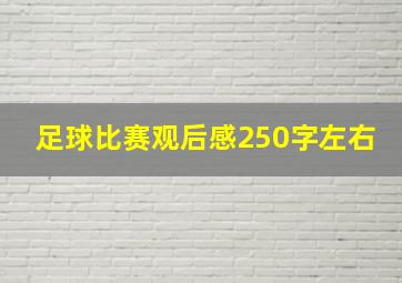 足球比赛观后感250字左右