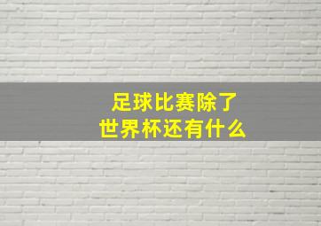 足球比赛除了世界杯还有什么