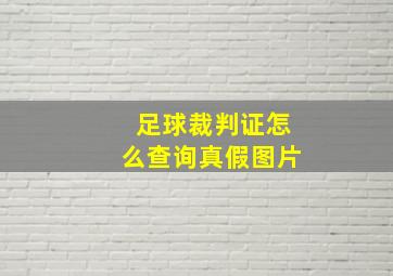 足球裁判证怎么查询真假图片