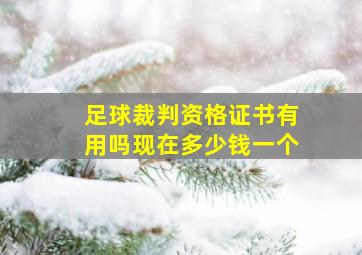 足球裁判资格证书有用吗现在多少钱一个