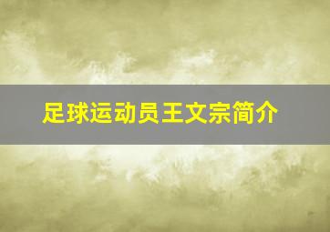 足球运动员王文宗简介