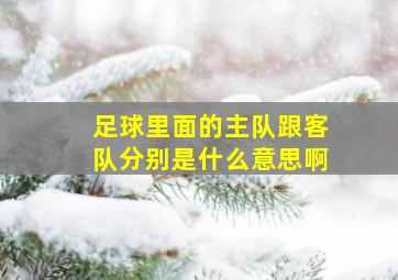 足球里面的主队跟客队分别是什么意思啊