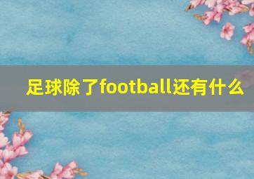 足球除了football还有什么