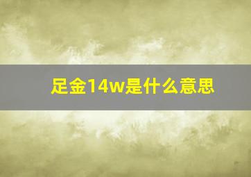 足金14w是什么意思