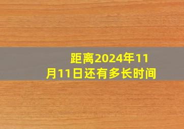 距离2024年11月11日还有多长时间