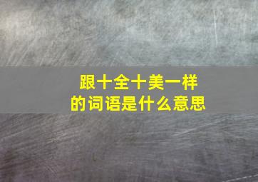 跟十全十美一样的词语是什么意思