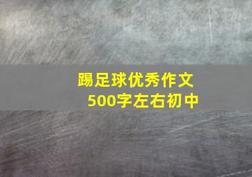 踢足球优秀作文500字左右初中