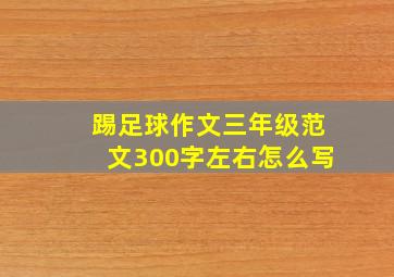 踢足球作文三年级范文300字左右怎么写