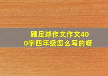 踢足球作文作文400字四年级怎么写的呀