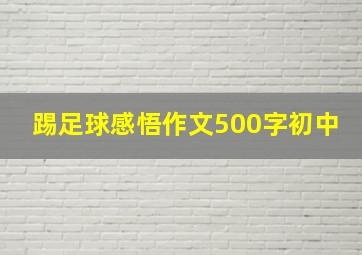 踢足球感悟作文500字初中