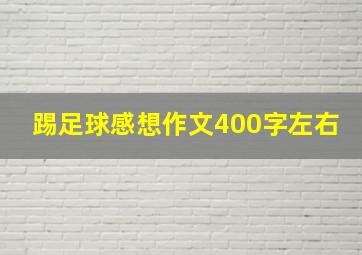 踢足球感想作文400字左右