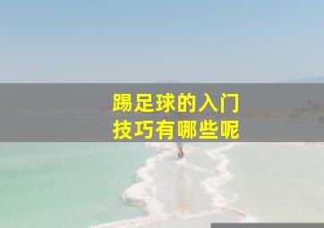 踢足球的入门技巧有哪些呢