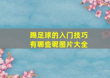 踢足球的入门技巧有哪些呢图片大全