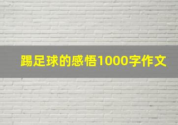 踢足球的感悟1000字作文