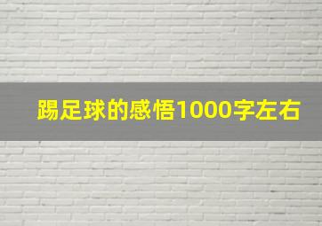 踢足球的感悟1000字左右