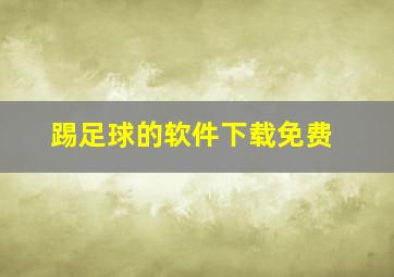 踢足球的软件下载免费