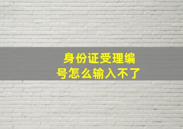 身份证受理编号怎么输入不了