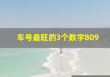 车号最旺的3个数字809