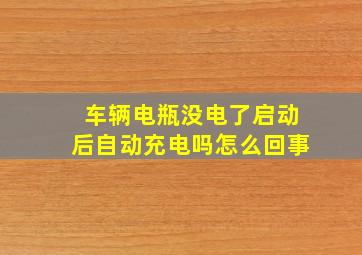 车辆电瓶没电了启动后自动充电吗怎么回事