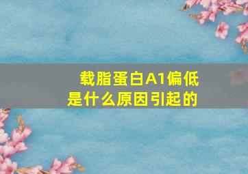 载脂蛋白A1偏低是什么原因引起的