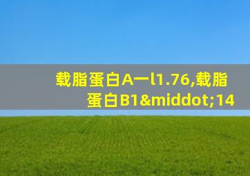 载脂蛋白A一l1.76,载脂蛋白B1·14