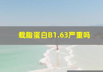 载脂蛋白B1.63严重吗