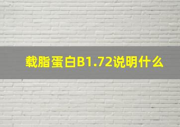 载脂蛋白B1.72说明什么