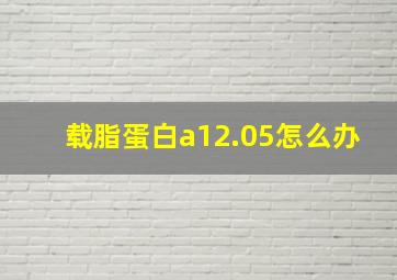 载脂蛋白a12.05怎么办