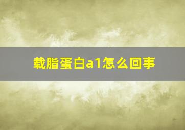 载脂蛋白a1怎么回事