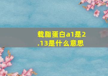 载脂蛋白a1是2.13是什么意思