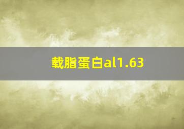 载脂蛋白al1.63