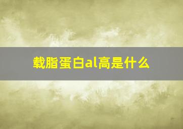 载脂蛋白al高是什么