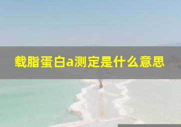 载脂蛋白a测定是什么意思