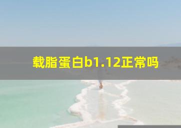 载脂蛋白b1.12正常吗