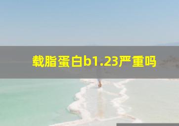 载脂蛋白b1.23严重吗