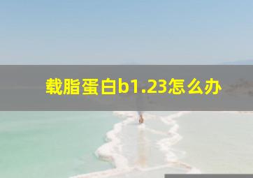 载脂蛋白b1.23怎么办