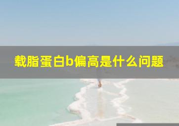 载脂蛋白b偏高是什么问题