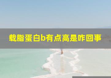 载脂蛋白b有点高是咋回事