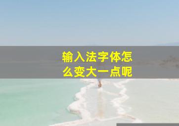 输入法字体怎么变大一点呢