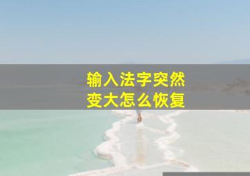 输入法字突然变大怎么恢复