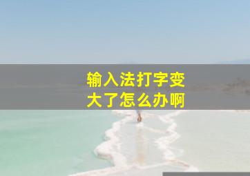 输入法打字变大了怎么办啊